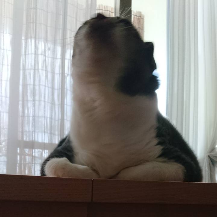 165edbeb 1260 4450 967d 0cc8f7dd61e1 1559554693577