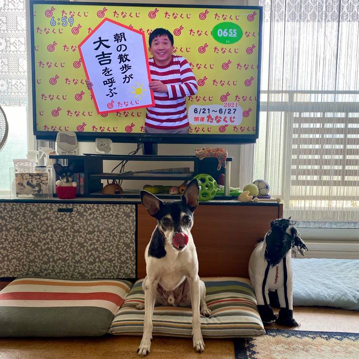 165eec98 f8b7 4ad7 b3f8 c081b4a1f457 1624226983665