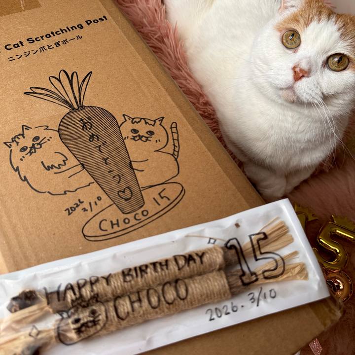 165ef846 f3d3 4a44 85b3 d33dcf0cb954 1773152408698