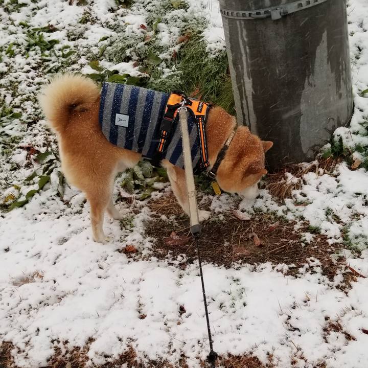 165f1e1e 3f5a 49a9 9352 f83f333ae264 1639378834599