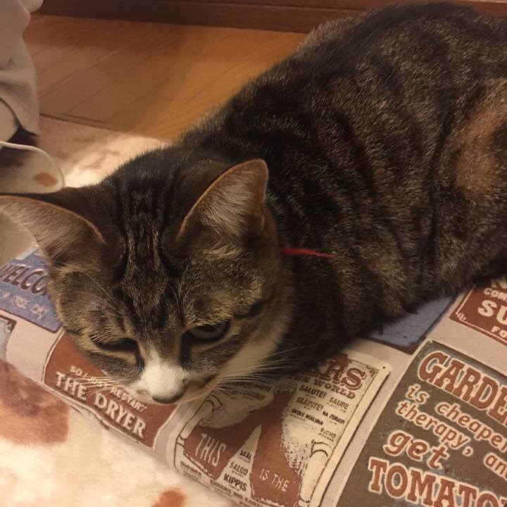 165f2bb2 b3f7 469c 884d 3fc19490360a 1553100490258