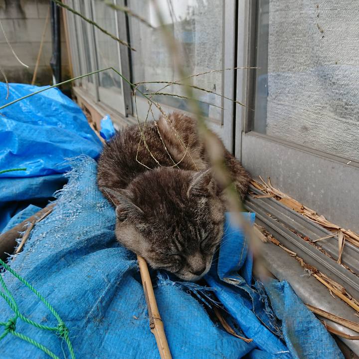 165f8e18 0f78 4b84 9998 604ee7d56f34 1569203442905