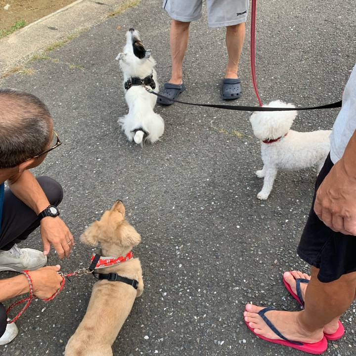 165f90d9 63fe 4d3e a2f4 ac5cbd69528e 1694905024855