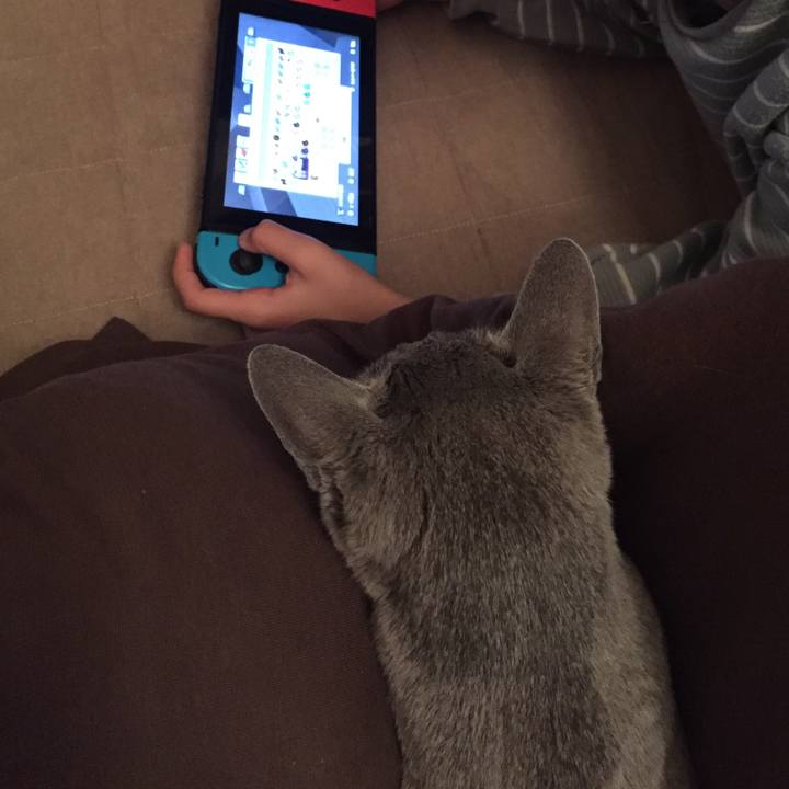 165fc4ed 86a2 4b37 b34a cd547a49d78f 1574467720767