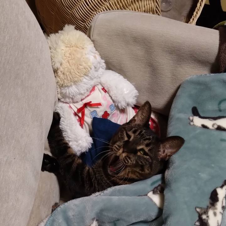 165fd424 426f 4509 a66a f9f9da578a4e 1770992611061