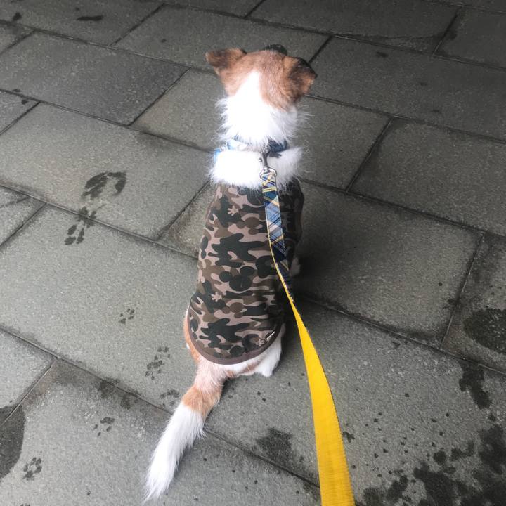 165feebb 8fcf 4bc5 b961 5dc0719b67fd 1601023508475