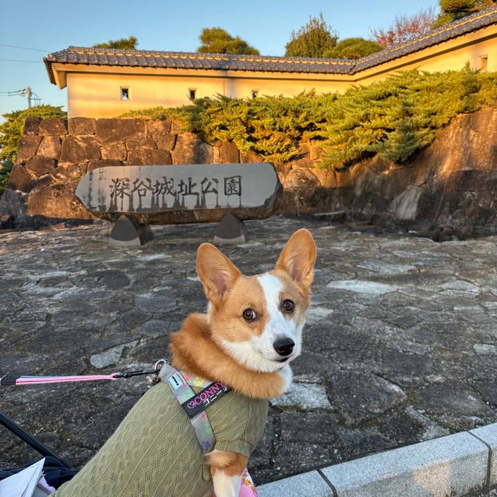 166000cc 3f52 47aa b535 a2ba78b50d2c 1763979926297