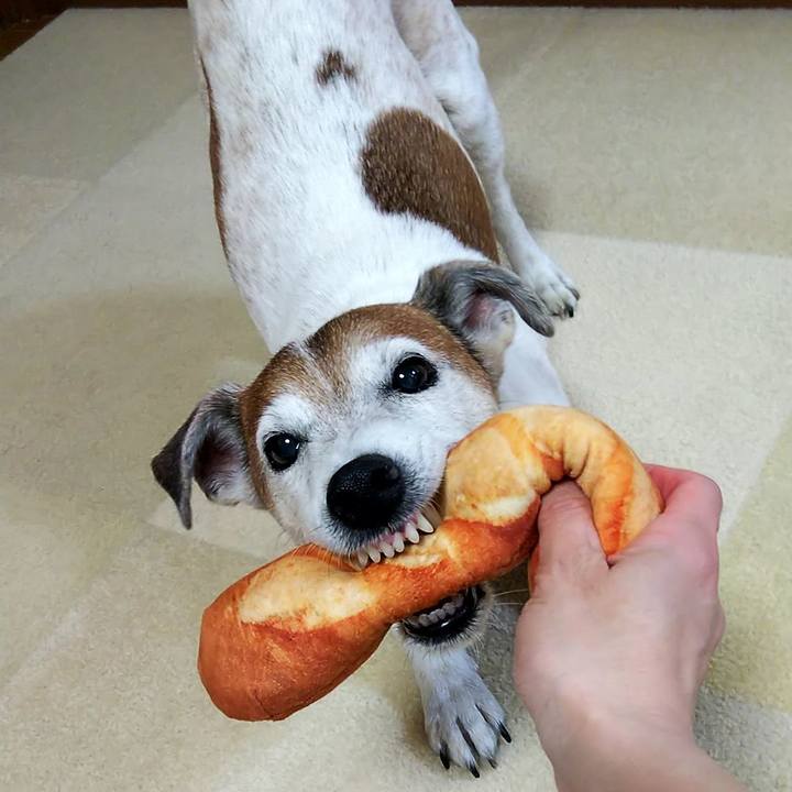 16604cbb 08a7 46a5 b52f 3c5a40b2156f 1553436256135