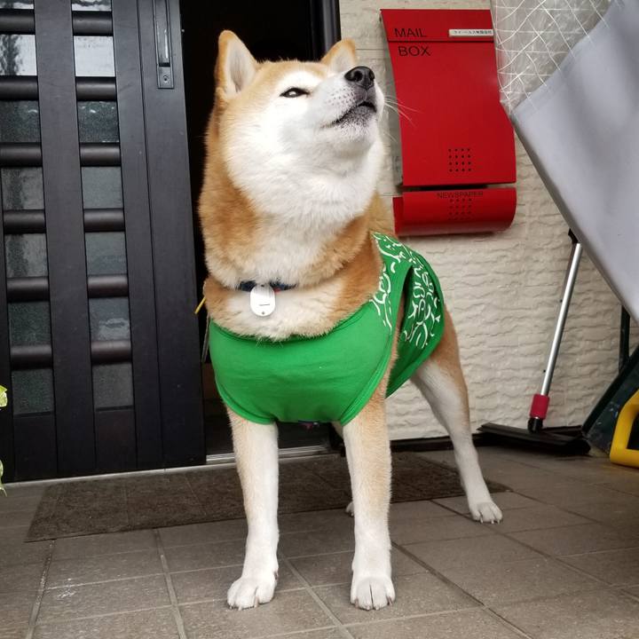 16606b9a 5ca2 4b0c 89ad b56d80f62251 1585389865174