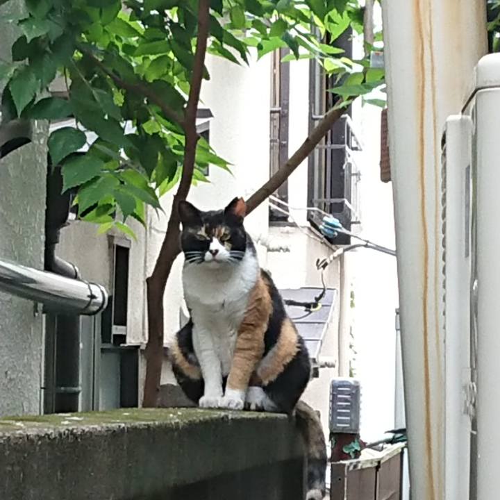 1660c06f 1c9b 47b7 8c38 5acdfec70af0 1629509953519