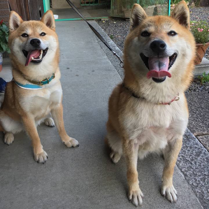 1660c715 6349 432f b8ee 94885aab0a11 1541493353841