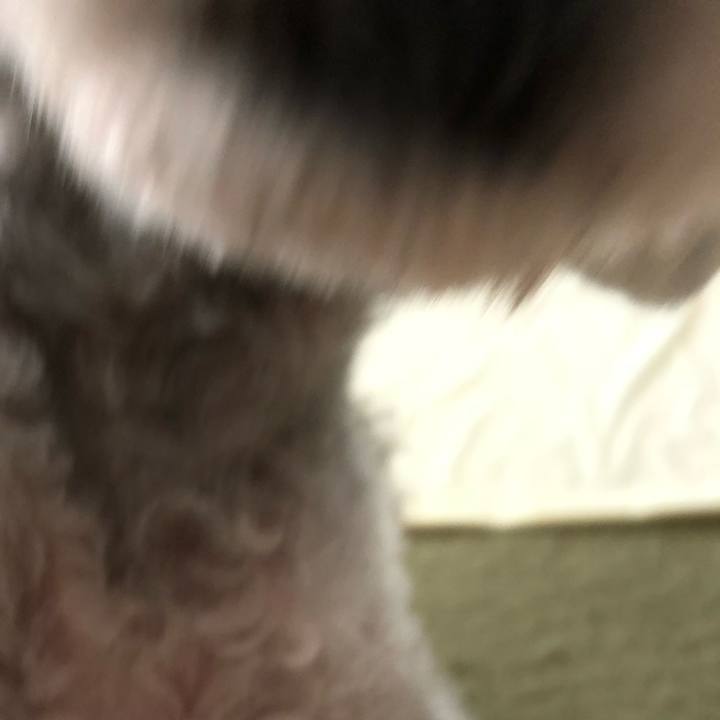 166120f1 ccd7 4307 a4a8 b131b16153f2 1535067851658