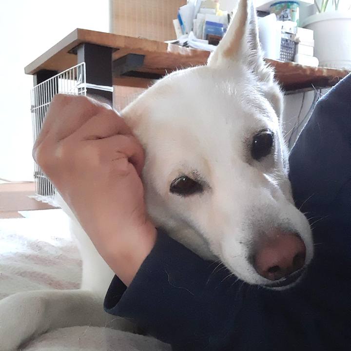 166123b9 4872 4147 8530 d6a442d47ecd 1649890540869