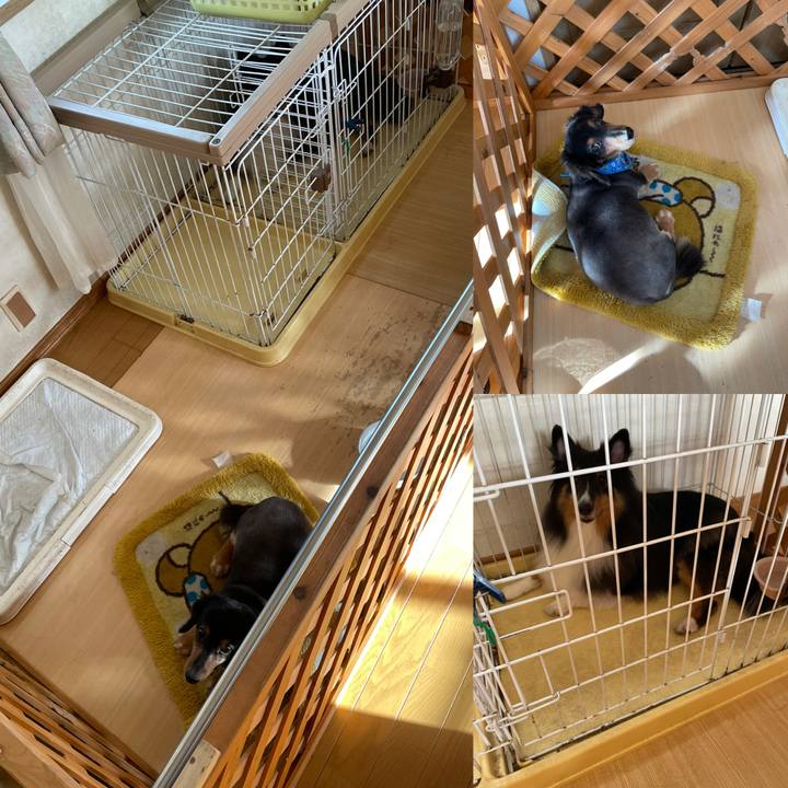 1661458b 8cca 47a4 ae73 82c0e9c6e601 1631744413016