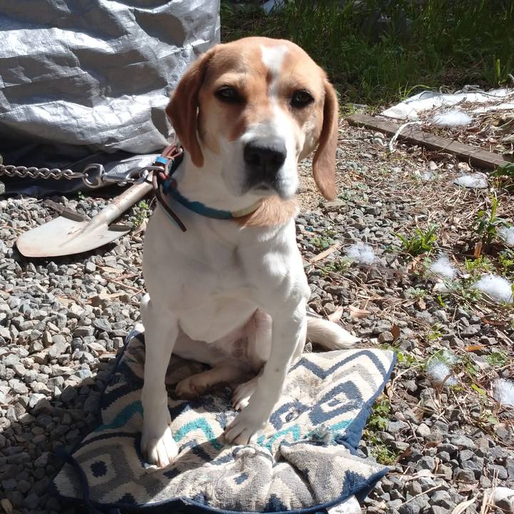 16616b71 3810 4f81 99c4 0e83b429f00a 1617166479758