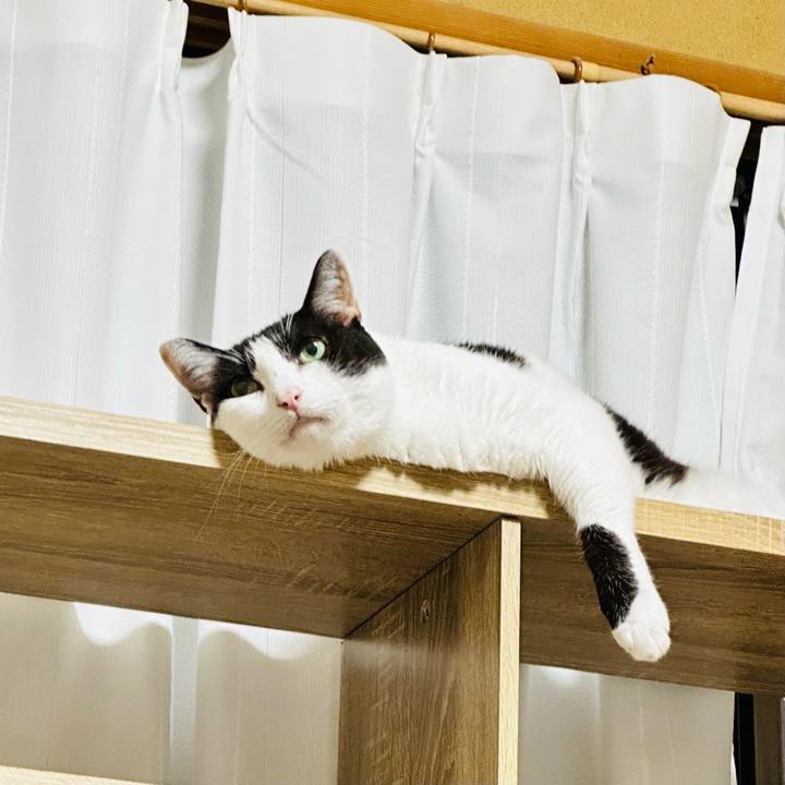 16617ef3 f59e 46de 8a73 139f03927d5c 1696383715953