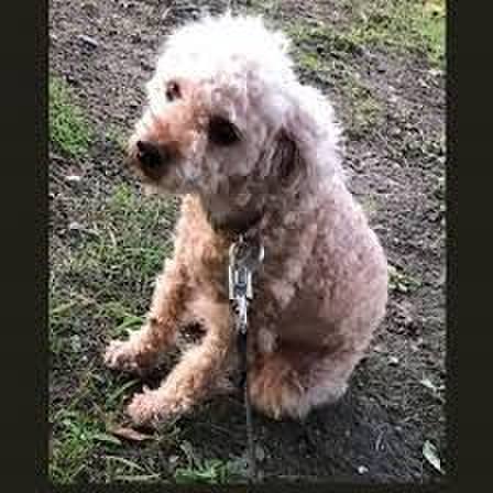 16618588 4c67 4f54 8738 ba6306c9c010 1570147129492