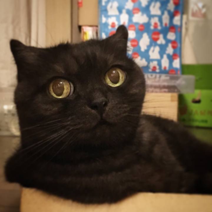 166192e6 b506 4489 8952 0b18964e1cbb 1563816659223