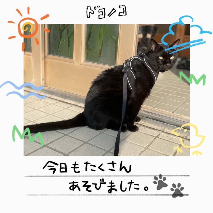 1661a2f2 e4d2 4e3b a736 93f127a52b81 1755215892859