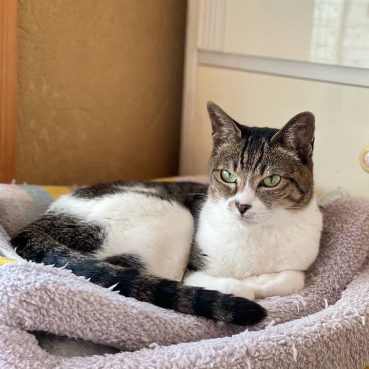 1661a5ba fde7 4657 ab86 ab65fe8f4013 1619486878271