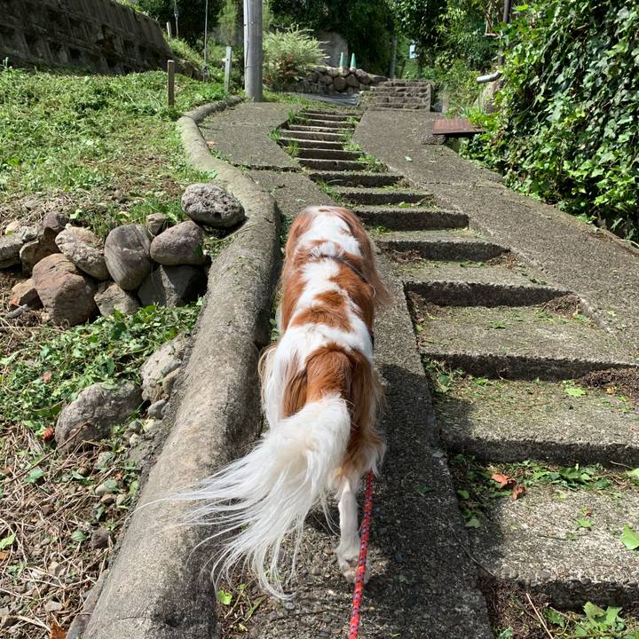 1661becd a6db 40e2 916c 777bbb23390c 1600167635148