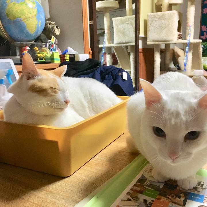 1662355a 5b62 49c9 ac43 d51c210748b4 1517497134862