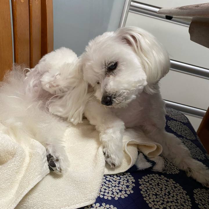 16623b48 415a 4d07 b56b bef6db69031b 1623675620529