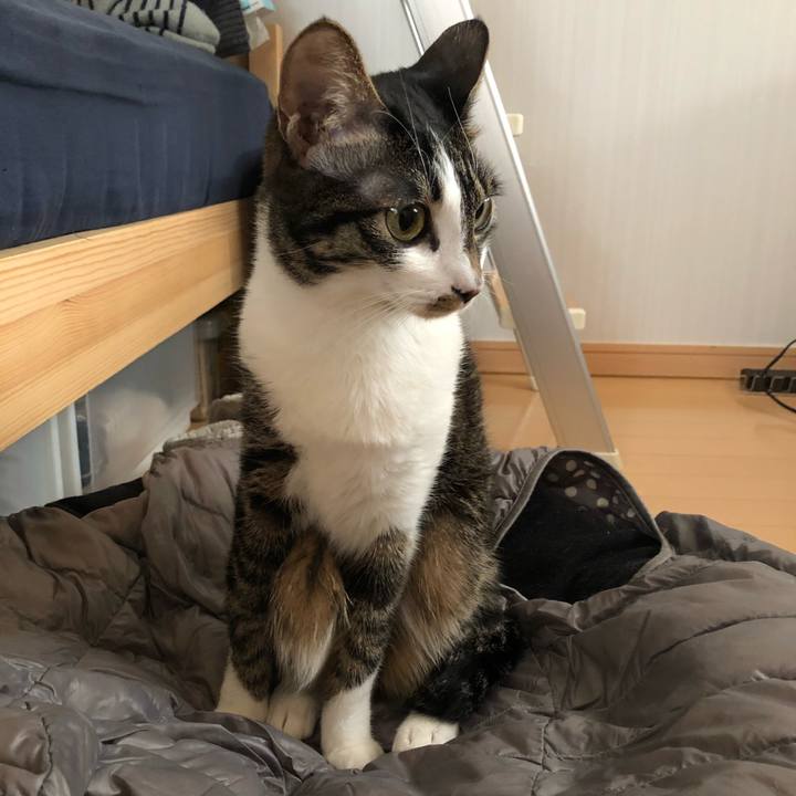 16623c48 0c14 44ee adde 1dd298759718 1515288060517