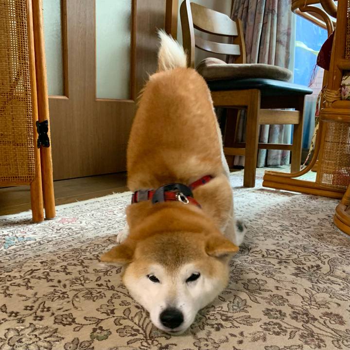 16625a45 b9d3 4584 a04b 905a748351b7 1683362664451