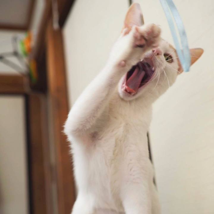 16629aa6 13d6 4042 84ff 7c01ba287317 1556712754547