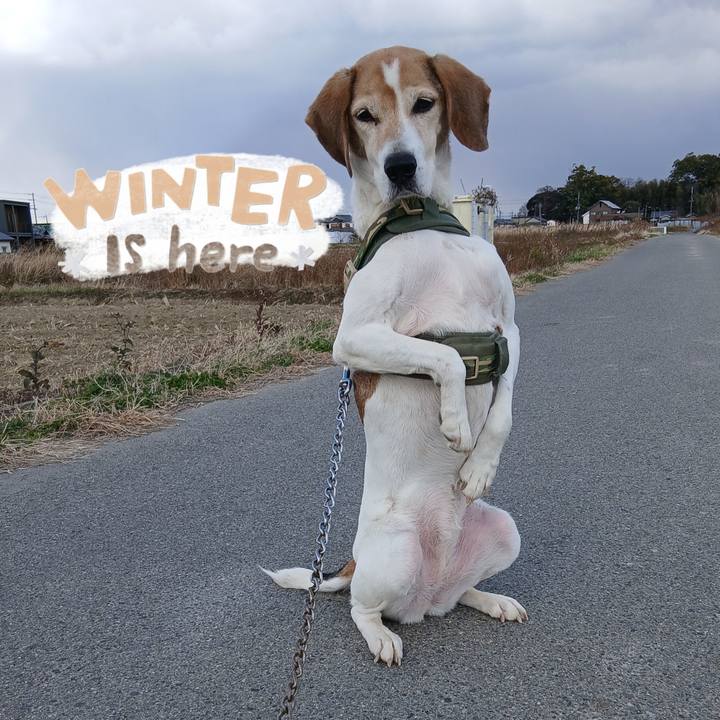 1662b09f e29a 4992 a0cf e668d6558750 1767871820978