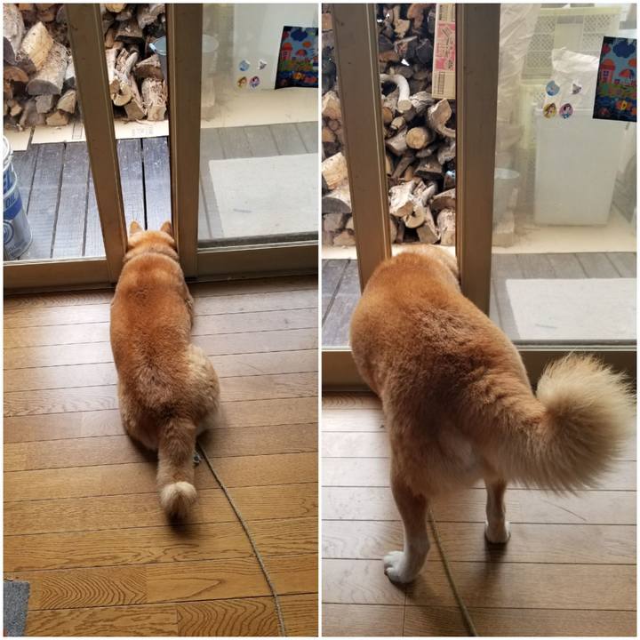 1662be46 4ab0 4927 abb2 4b43d097fba8 1699675974458