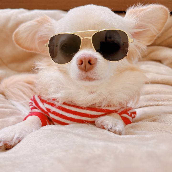 1662d68f a252 4b69 a53e 1788b5431dc0 1670750154278