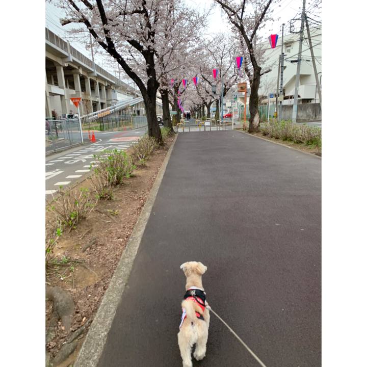 1662dd71 4143 43a7 a0ed f64391424d49 1553780239715