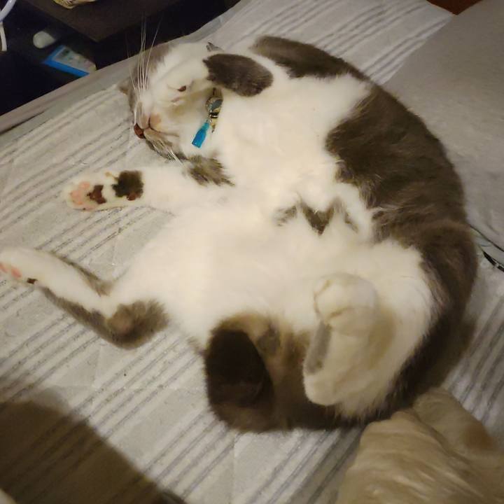 16630663 80ab 4cc5 8a31 fc38c5d0624a 1720872708850