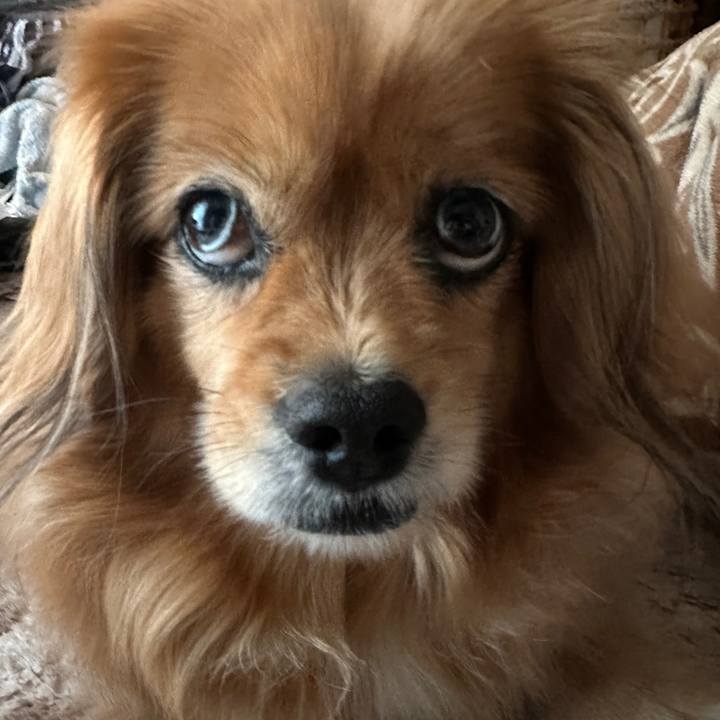 1663089d f02b 4dfa 9553 c176790918fe 1713474165021