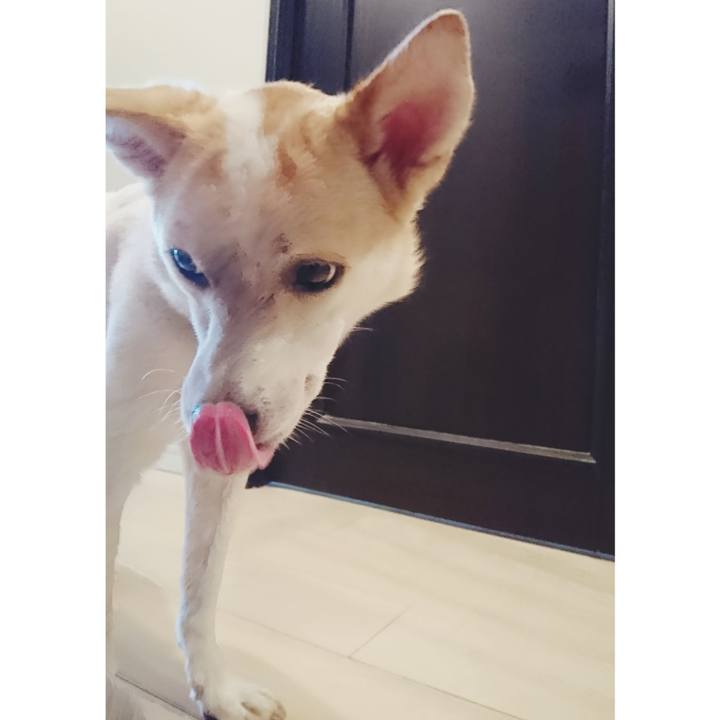 16631c5b 3506 4075 a66c 95f3014ddf84 1566886108389