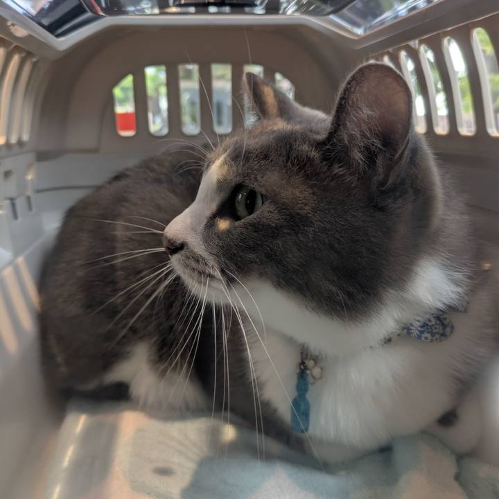 16633686 9777 42e8 b186 6a1e685caadb 1757378014591