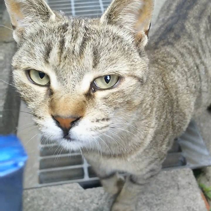 16635496 c6ab 452d ae5e 9928539d9065 1526807085738