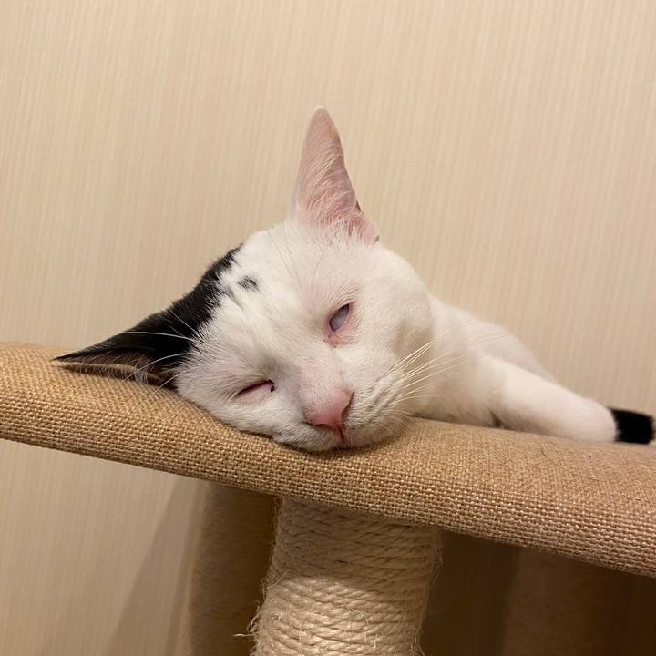 1663738b e2ad 42f7 b22d d582050c5311 1687227343275