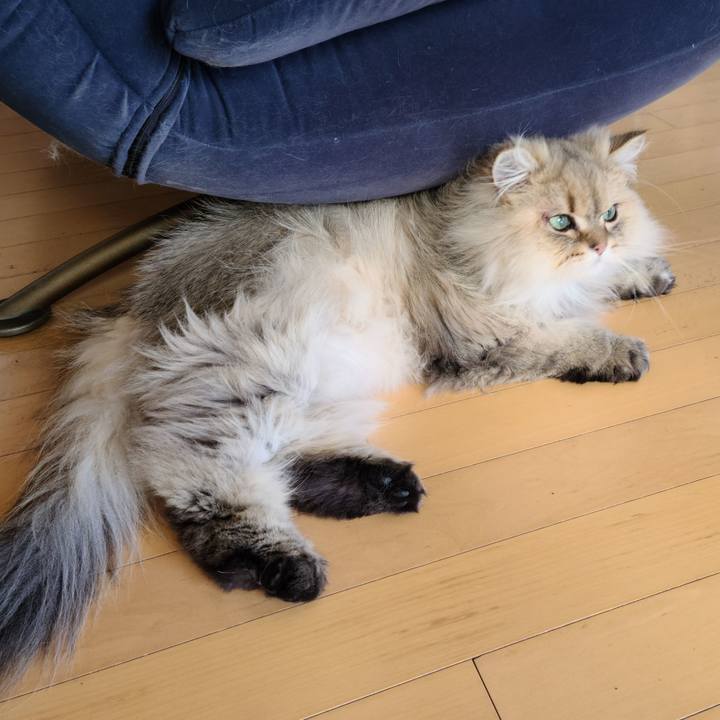 1663df67 eda7 4536 ae19 b15c2917f546 1618455458688