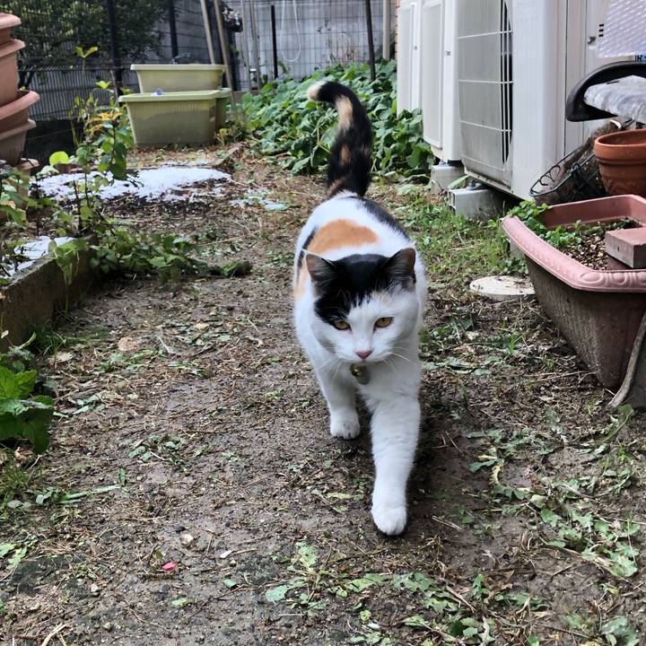 1663e3f9 d1b2 48dc 9624 621dd7997e40 1609417001378