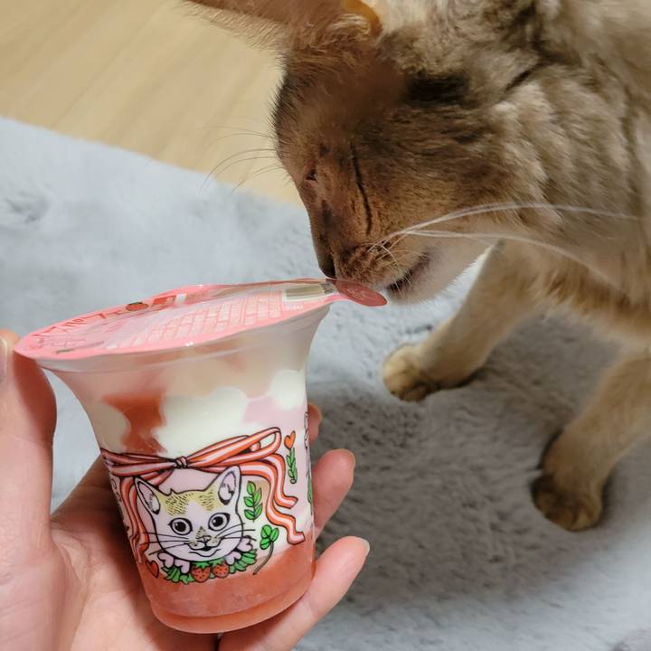 166406fe 4684 4309 9890 800b12429288 1641818341632