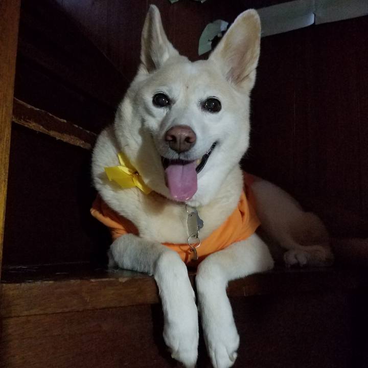 16640f54 4c1d 4cbf b202 663cd05434a3 1565094141162