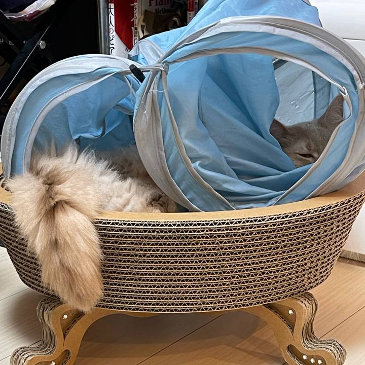 1664229c 7787 423b 9867 64c989eb9eaf 1716696225810