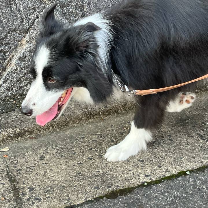 16643769 44a9 43d3 ada9 c5467e4f1ee6 1757891268008