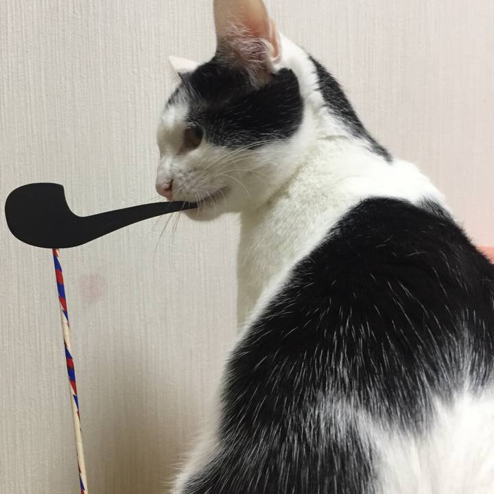 166437c9 52d0 4037 8b2a 4d878aa7c99c 1524309969599