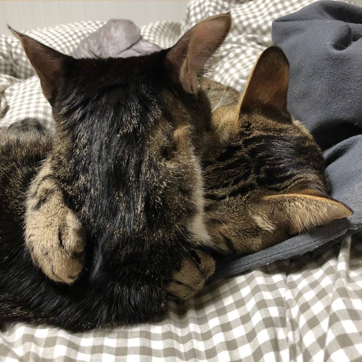 16644458 47f5 434c a226 46d0359ce80c 1515243586359