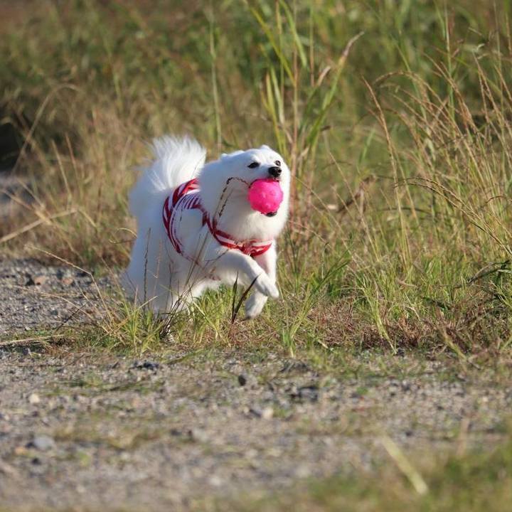 1664726f 2ce4 4ae6 b20b 5957d1eba529 1540715133258