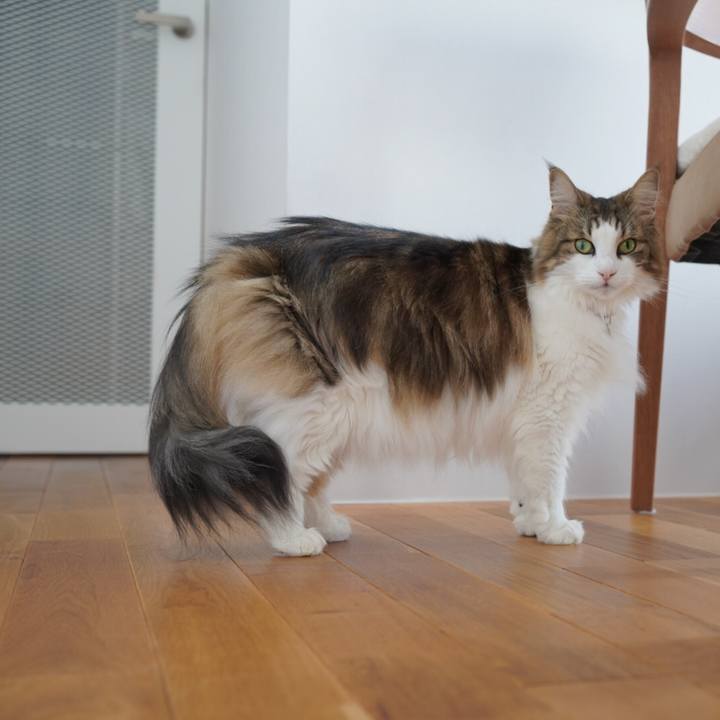 16648bc0 1373 4d92 b490 cf5d7ab842dd 1599530410188